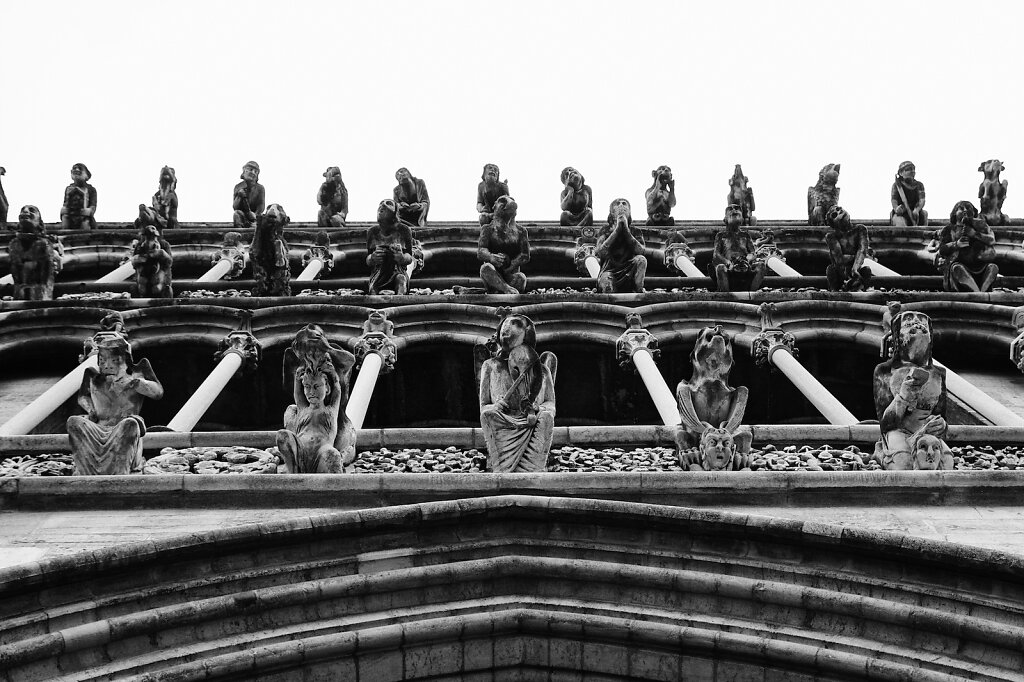 Wasserspeier am Notre-Dame