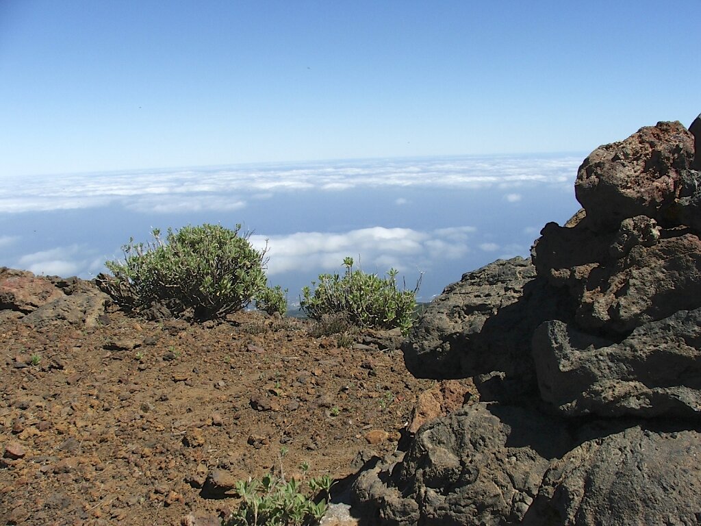 Auf dem Kraterrand des Birigoyo (1.774 m)