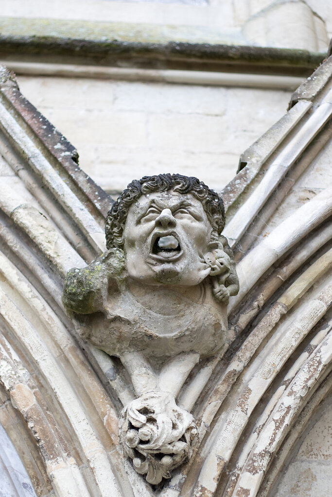 Wasserspeier an der Salisbury Cathedral